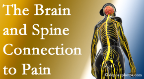 Apple Country Chiropractic looks at the connection between the brain and spine in back pain patients to better help them find pain relief.