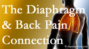 Apple Country Chiropractic knows the relationship of the diaphragm to the body and spine and back pain. 