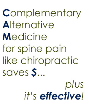spine pain help from Williamson chiropractors