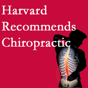 Apple Country Chiropractic offers chiropractic care like Harvard recommends.
