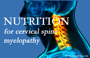 Apple Country Chiropractic presents the nutritional factors in cervical spine myelopathy in its development and management.