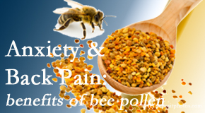 Apple Country Chiropractic shares info on the benefits of bee pollen on cognitive function that may be impaired when dealing with back pain.