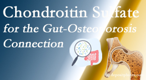 Apple Country Chiropractic presents new research linking microbiota in the gut to chondroitin sulfate and bone health and osteoporosis. 