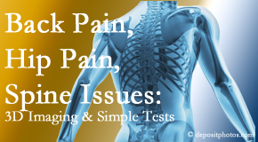 Apple Country Chiropractic examines back pain patients for a variety of issues like back pain and hip pain and other spine issues with imaging and clinical tests that influence a relieving chiropractic treatment plan.