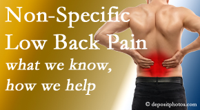 Apple Country Chiropractic share the specific characteristics and treatment of non-specific low back pain. 