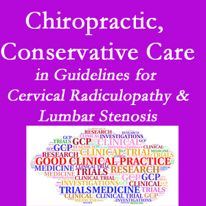 Williamson chiropractic care for cervical radiculopathy and lumbar spinal stenosis is often ignored in medical studies and guidelines despite documented benefits. 