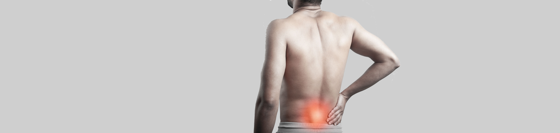Williamson back paraspinal muscles