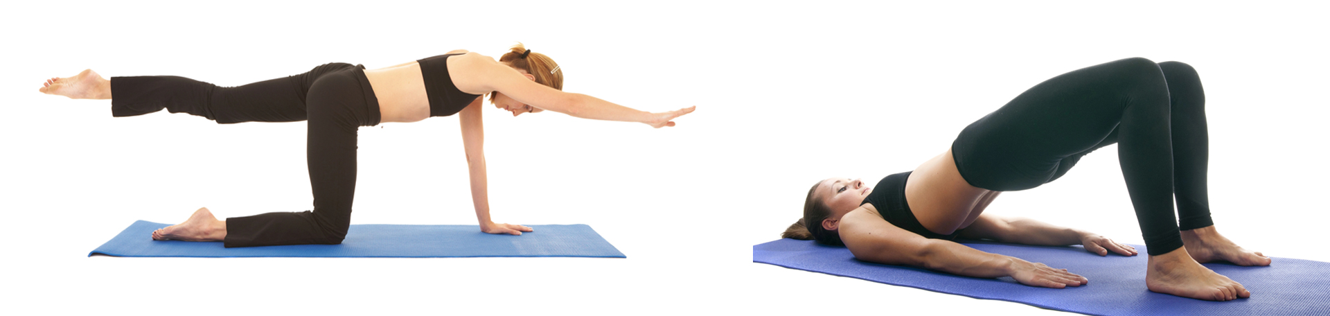 Williamson chiropractic exercise to strengthen multifidus 