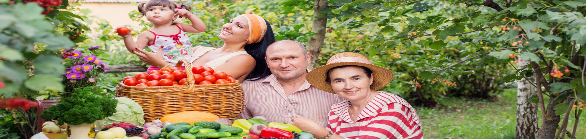 Williamson chiropractic summer health tips