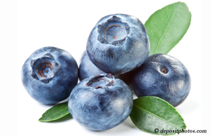Williamson chiropractic and nutritious blueberries