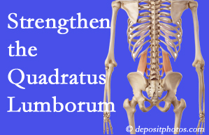 Williamson chiropractic care proposes exercise recommendations to strengthen spine muscles like the quadratus lumborum as the back heals and recovers.