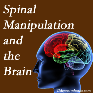 Apple Country Chiropractic [shares research on the benefits of spinal manipulation for brain function. 